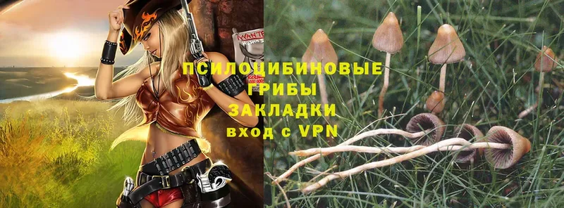 купить  сайты  Баймак  Галлюциногенные грибы MAGIC MUSHROOMS 